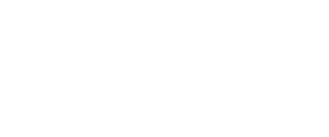 Site web Team Pulse